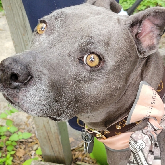 Meet your Posher, TaxladyMichelle - Picture 1 of 7